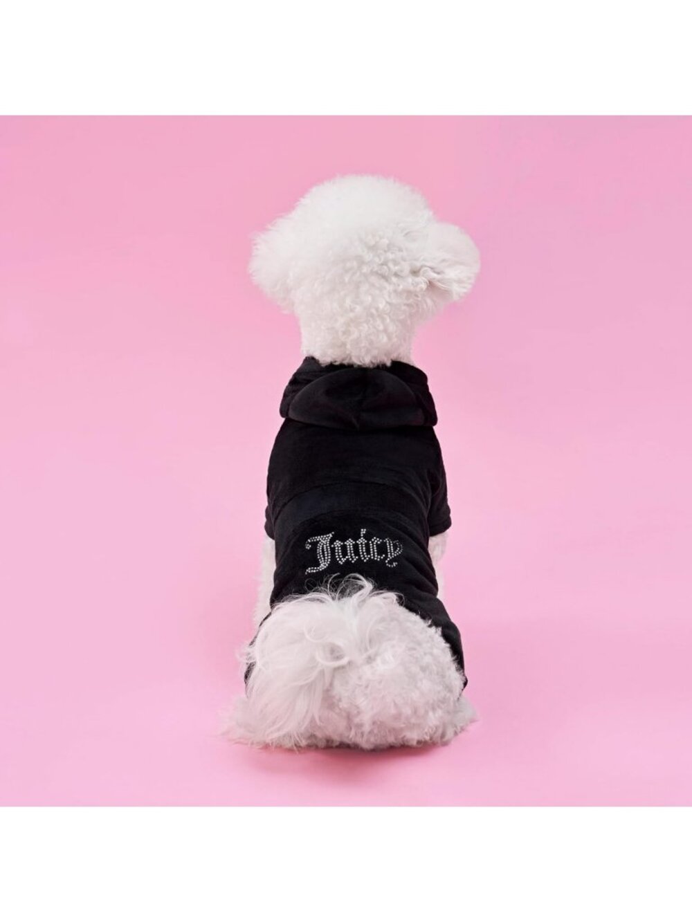 Stylish Hooded Velour Tracksuit for Small Dogs & Cats - Bling Design, Black, M/L